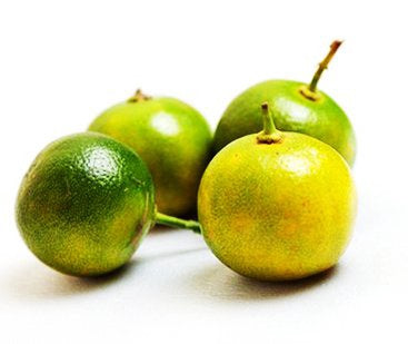 MT Trai Tac (Trai Quat) 金桔 Kumquat 200g x 1