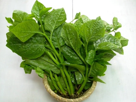 MT Fresh Ceylon Spinach (Basella) 木耳菜 Rau Mong Toi 200g x 1