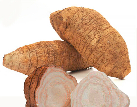 Rễ mũi tên tươi粉葛Cu dong