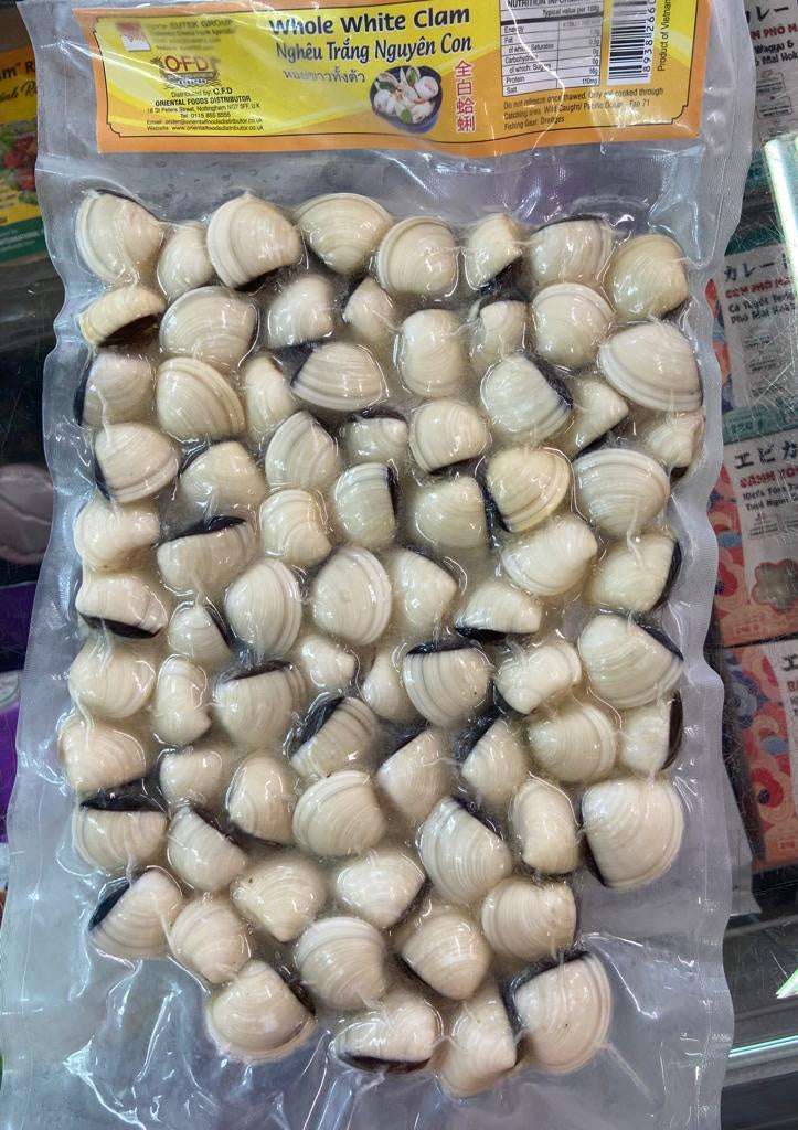50083 Seahorse King White Whole Clam Ngheu Trang Nguyen Con 1kg x 1