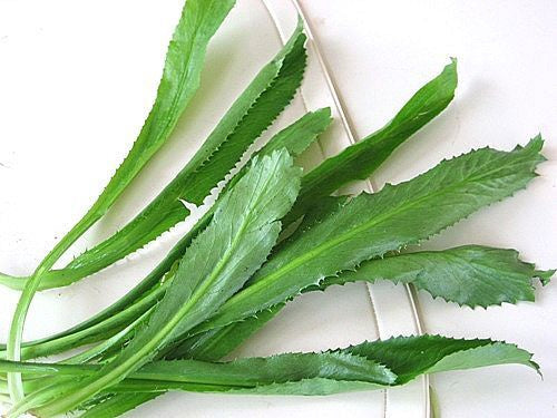 Mùi tây tươi Rau mùi Rau Ngô Gai (mùi tau) 1x100g