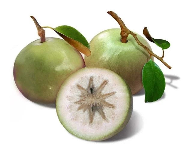 10709 新鮮星蘋果牛奶果 Vu Sua Tuoi VN 1kg x 1