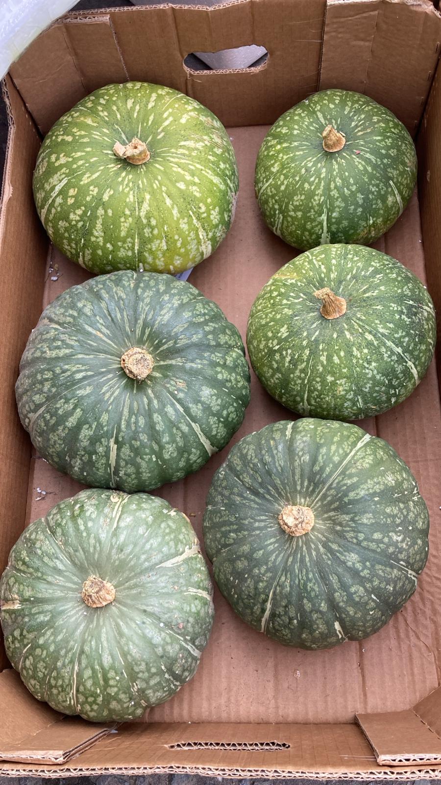 Fresh Green Pumpkin 小南瓜Bi xanh100g