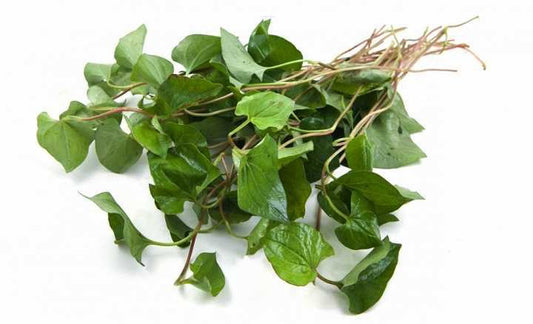 MT Fresh Fish Mint 越南魚腥草 Rau Diep Ca (Dap Ca) 100g x1