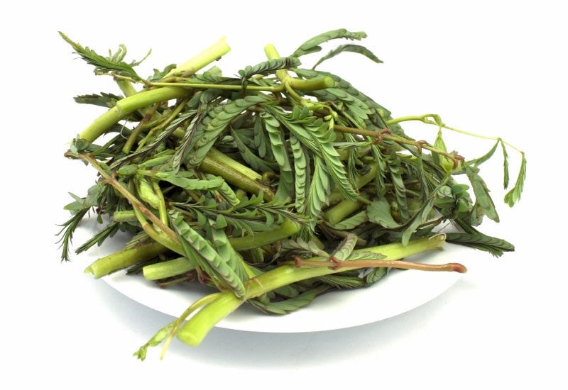 Nước Ngọt Mimosa Rau Nhựt 1x200g