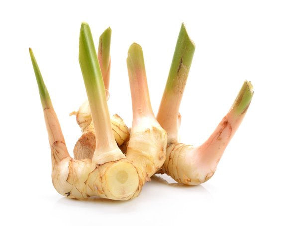 MT Fresh Riềng Củ Riềng tươi 新鮮南姜 200g x 1