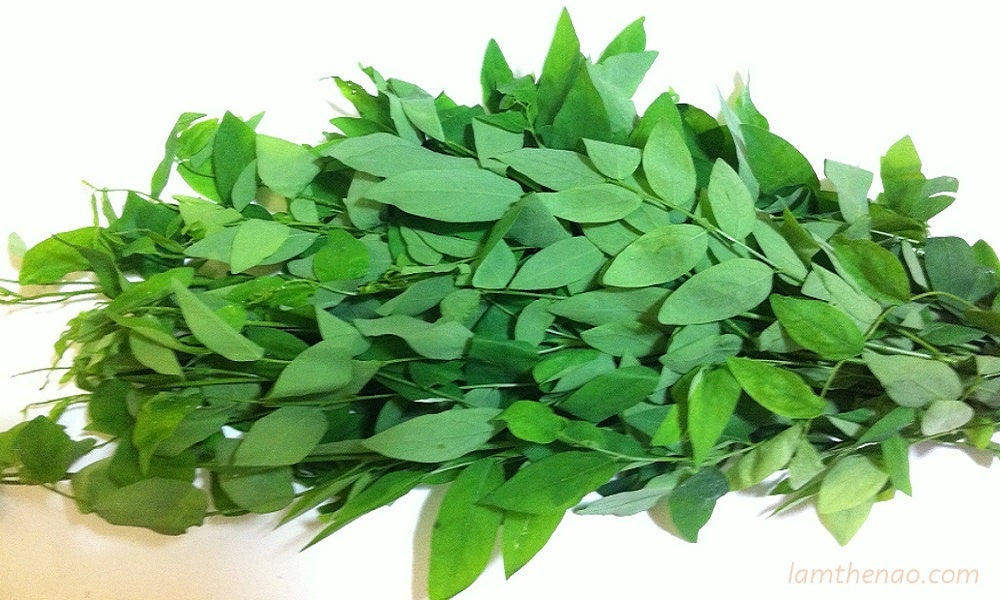 Sauropus tươi/ Pakwan Rau Ngot 1x200g