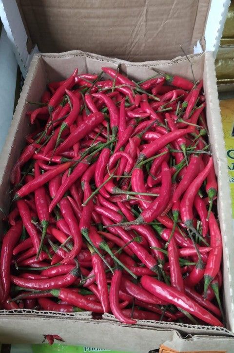 Fresh Bird Eye Red Chilli 紅辣椒 Ot Hiem Do +/- 2 kg (Box)