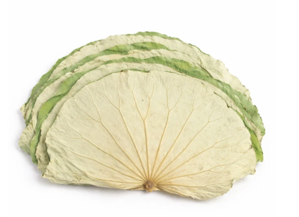 Quang Thanh Bot La Sen 荷葉粉 1x100g