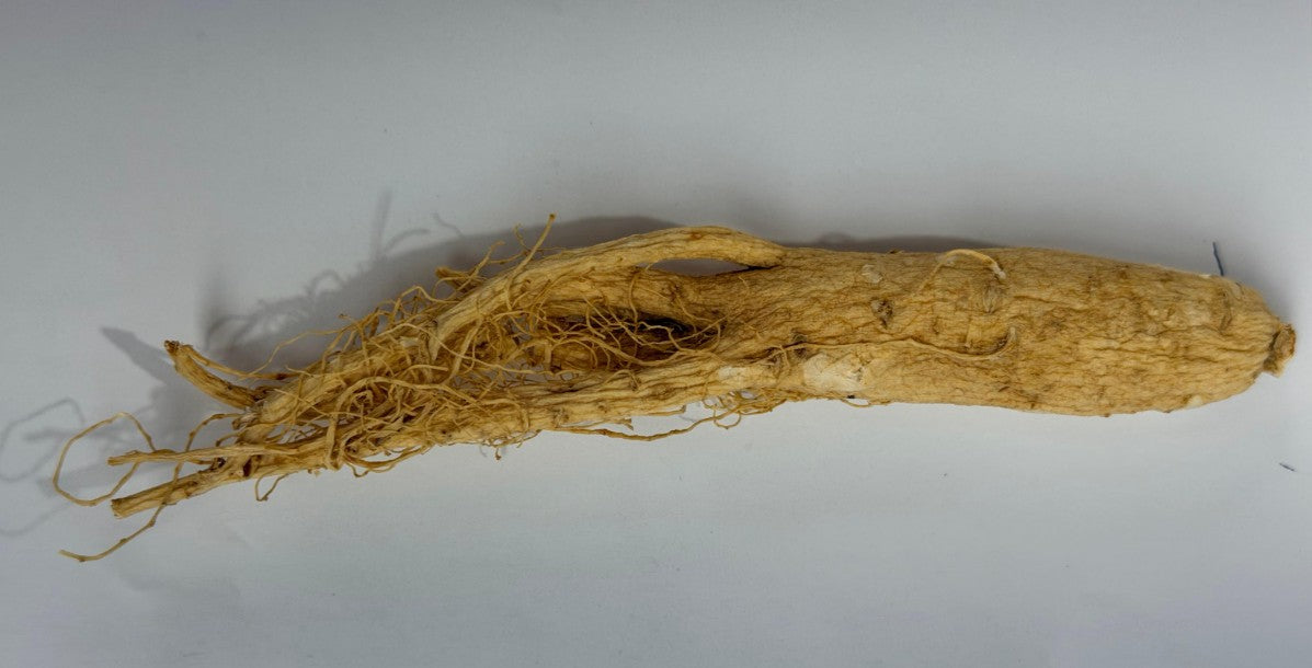 CBS Ginseng 長白山人參 Nhan Sam Nui Truong Bachh 1 Pk x 1