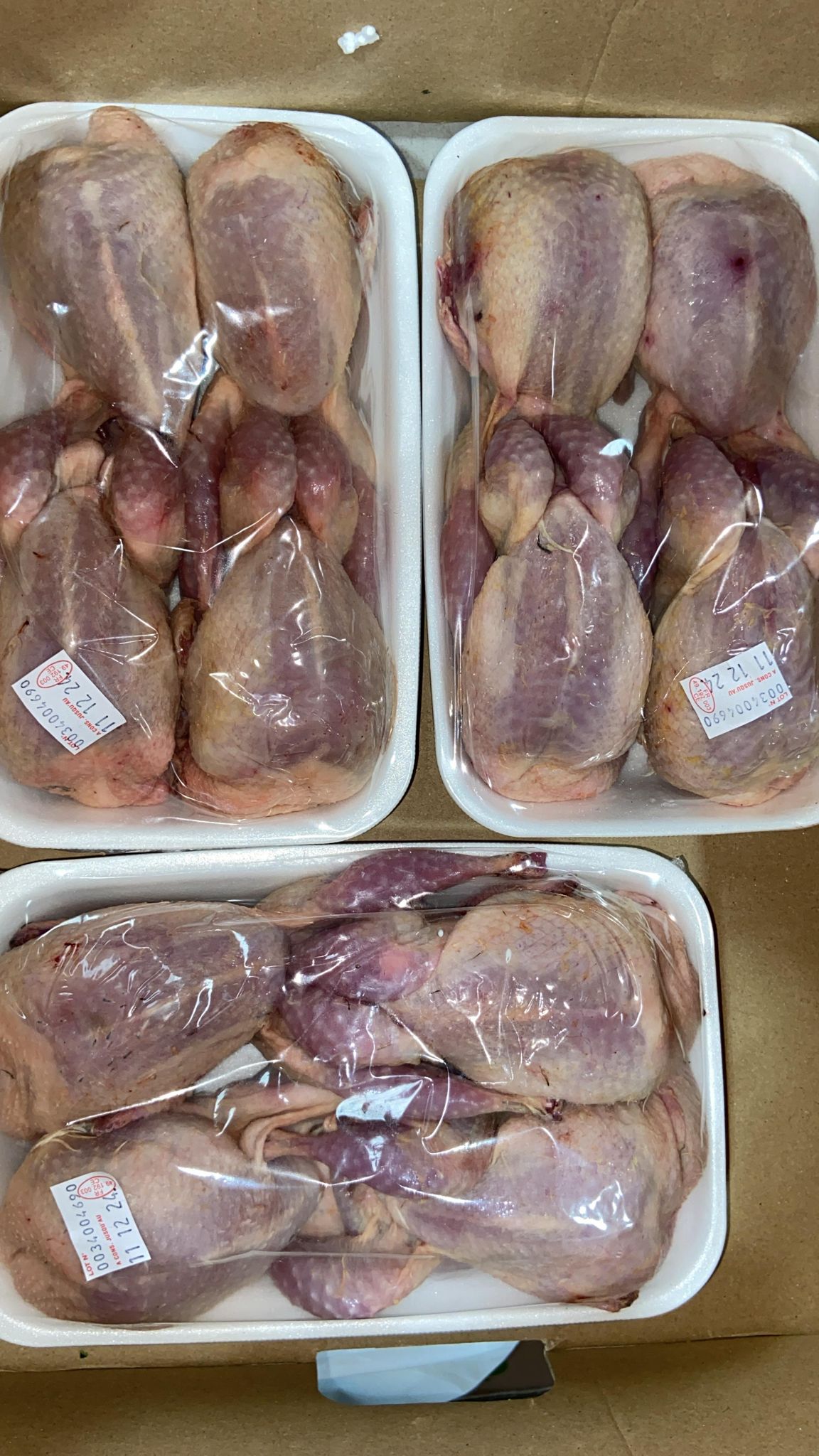 Thịt bò tươi Shin 新鮮牛腱