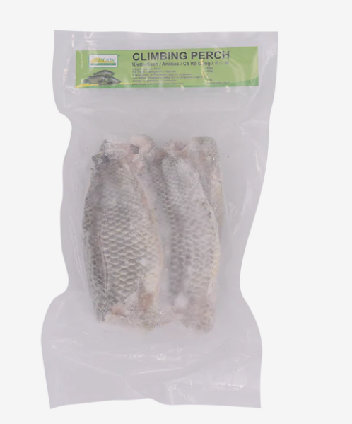 15967 KS Climbing Perch 遇山鰭Ca Ro Dong 500gx 20 (盒)