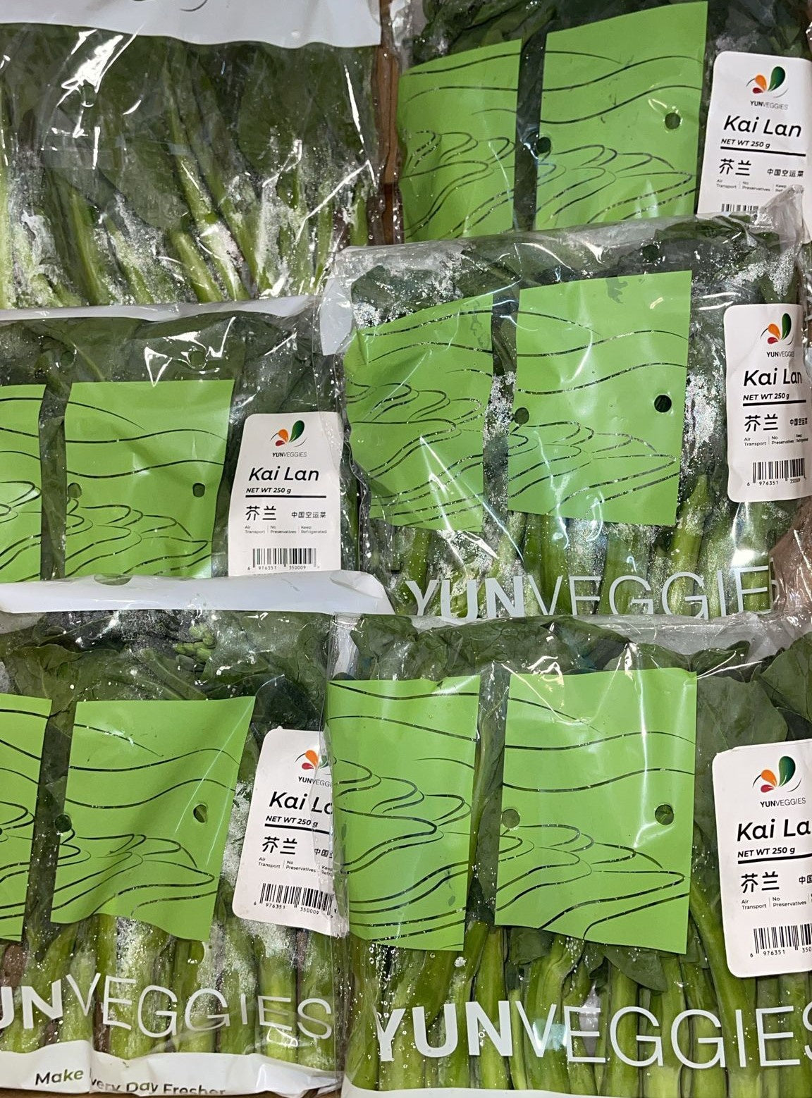 20897 Fresh Kai Lan (Pre-packed Kale) 新鮮芥蘭菜 Rau Kai Lan Toi 250g x1