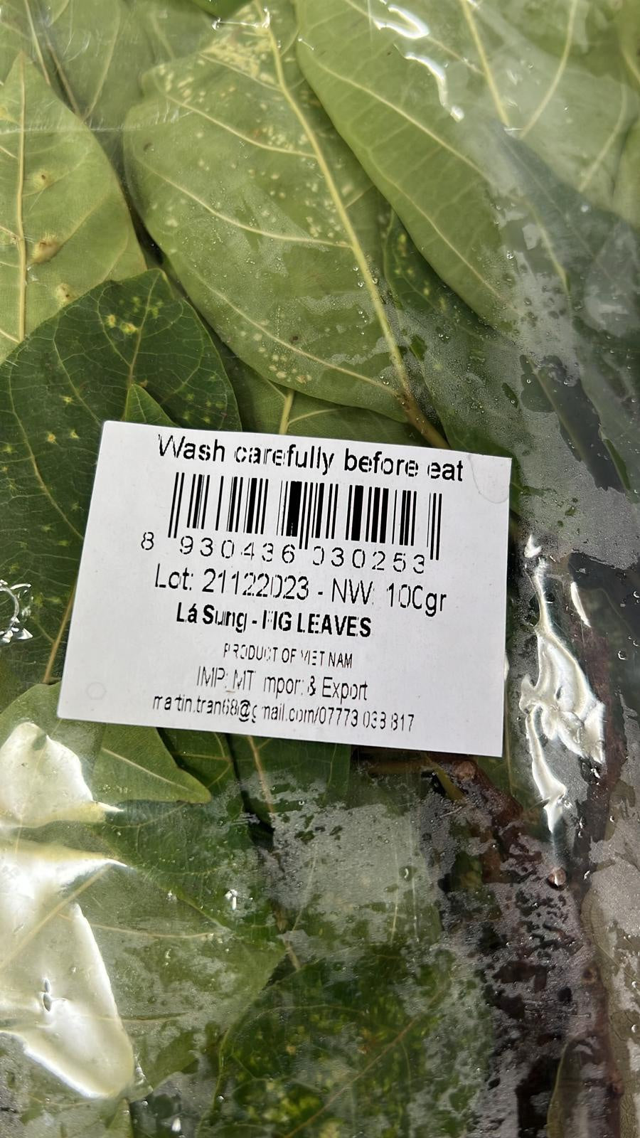 Lá sung 無花果葉 La Sung 100g x1