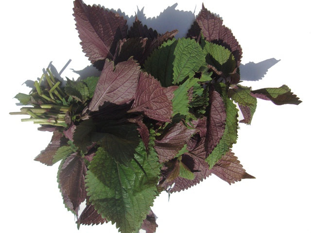 MT Fresh Perilla Leaf 紫蘇 Rau Tia To 100g x 1