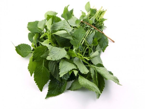 Lá Kinh Giới tươi Rau Kinh Giới 1x100g