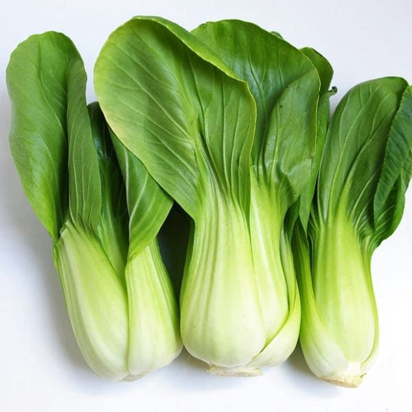 Fresh Green Pak Choi 小唐菜 Cai thia
