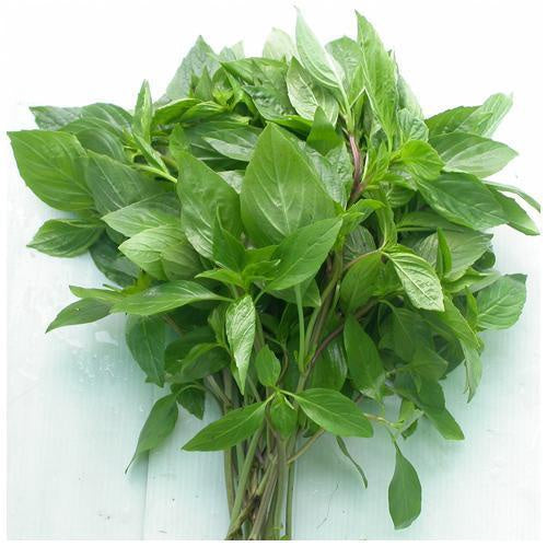 Húng quế tươi 新鮮泰國甜羅勒 Rau Hùng Quế Thái 1x100g