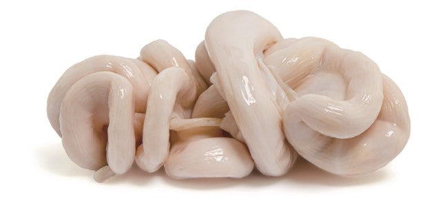 16093 冷凍小腸 小腸 Long Non Dong Lanh kg