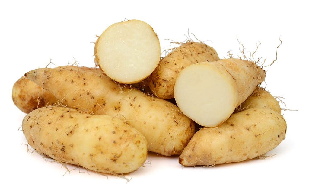 Fresh Chinese Yam 真空山药 Khoai Tu