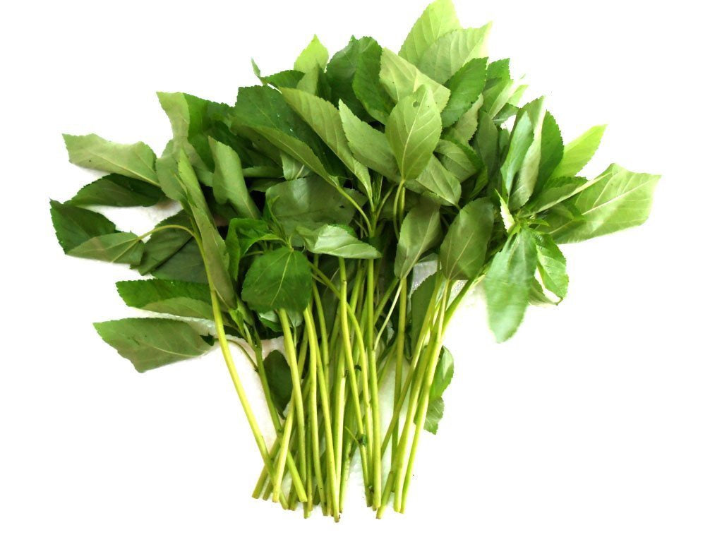 Đay Tossa tươi / Kang Kung Rau Day 1x200g