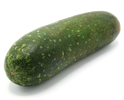 Fuzzy Melon (Jali) 節瓜 Bi dao