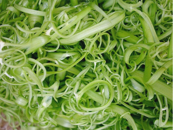 Rau muống tươi nước cắt lát 新鮮空心菜絲 Rau Mung Bao 200gx1