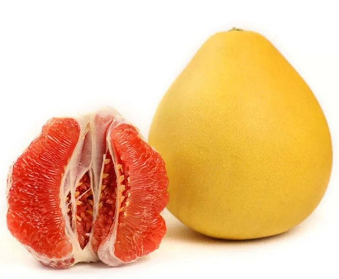 Bưởi tươi 新鮮柚子 Bưởi Đá xanh Việt Nam size 1.4kg - 1.6kg 1 cái x 1