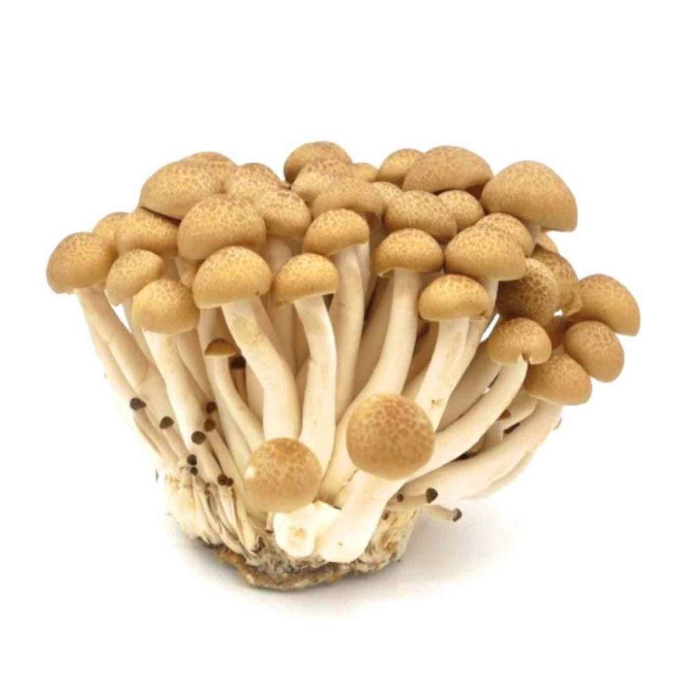 蟹味菇 蟹味菇 啡150g x1 tươi