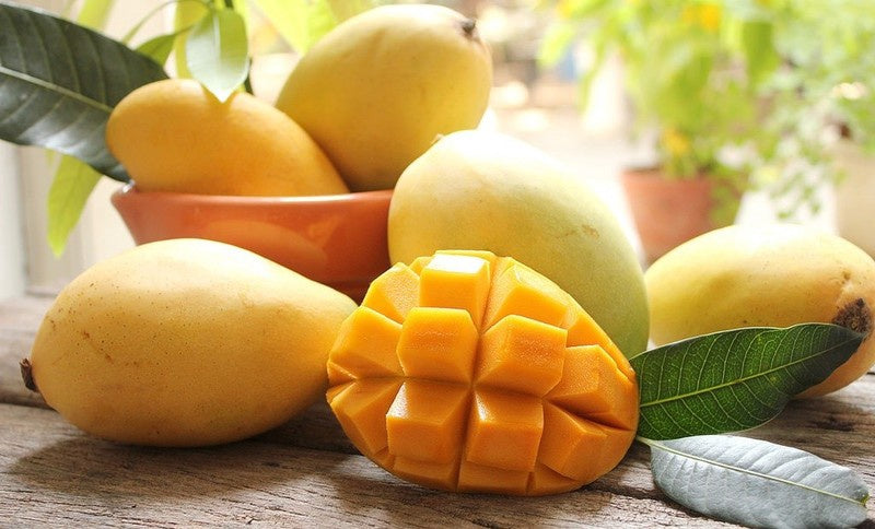 10721 Tươi Hòa Lộc Xoài Chín Vàng 鮮芒果 Xoài mèo Hoà Lộc kg