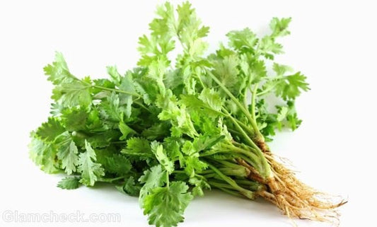 10674 Fresh Coriander bo bunch Rau Mui (ngo ri)  x 1 bundle