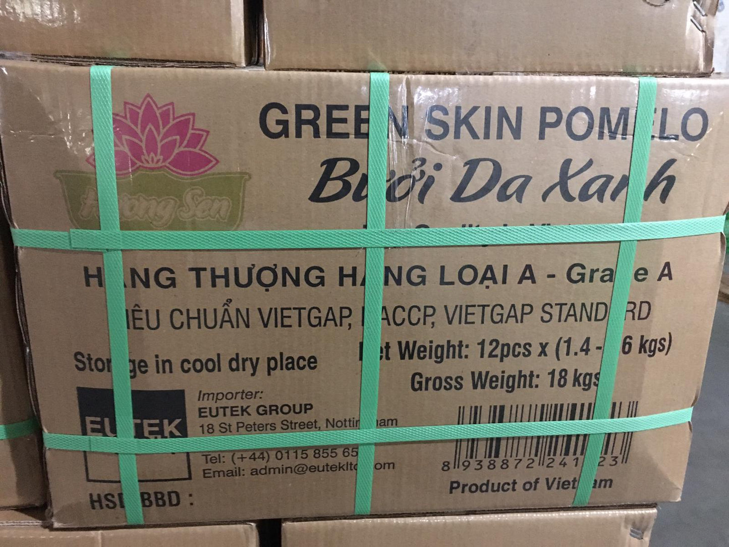 Fresh Pomelo Buoi da xanh Viet Nam Size 1.4kg - 1.6kg  Nguyen Thung 12 pcs (Box)