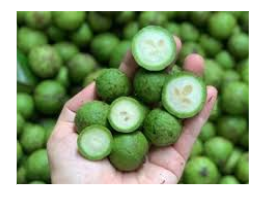 Seahorse King Young Dracontomelon 冷凍酸梅 Trai Sau Dong Lanh 500g x 20 Bags