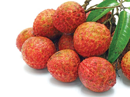 13487 Vải thiều tươi 新鮮荔枝 Vai thiếu tươi 500g