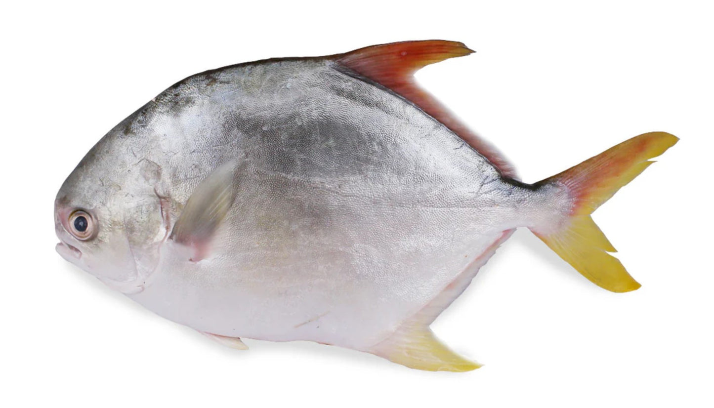 TCT 點心 椰樹牌越南點心拼盤 500g x1