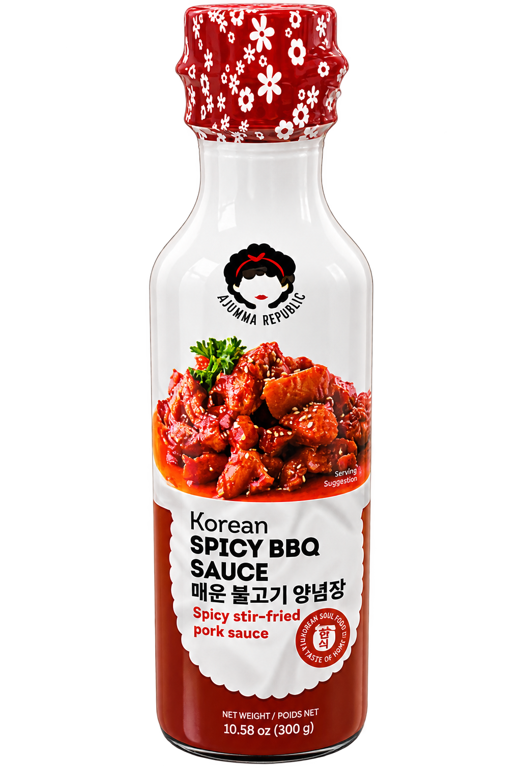 Anh Hai 咖哩粉 Bot Cari 25gr x 1