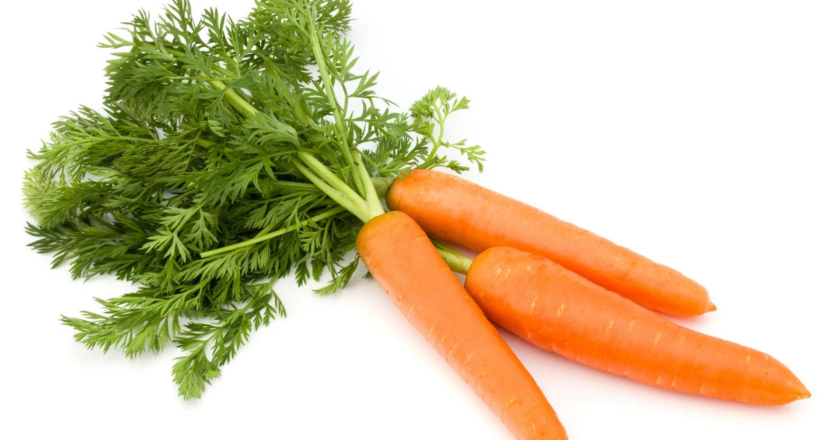 Fresh Carrot