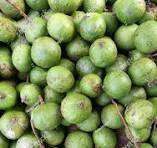 Fresh Dracontomelum Fruit Trai Sau Tuoi 500g x1