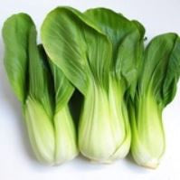 19875 Fresh Green pak choi 小唐菜 Cai thia 8kg