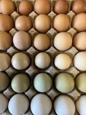 Fresh Eggs (360pcs per box)