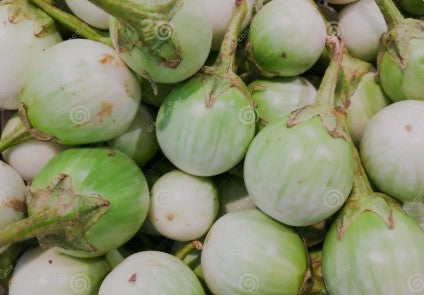 Cây trứng trắng tươi 泰國白茄子 100g x 1