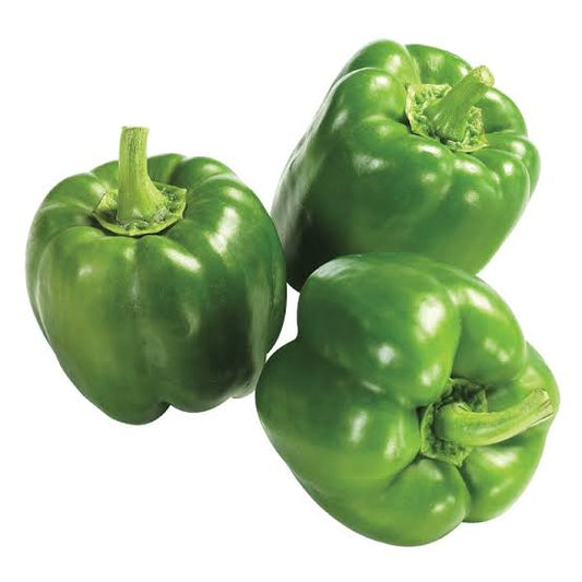 Fresh Green Pepper 青甜椒 Ot Xanh 5kg x 1