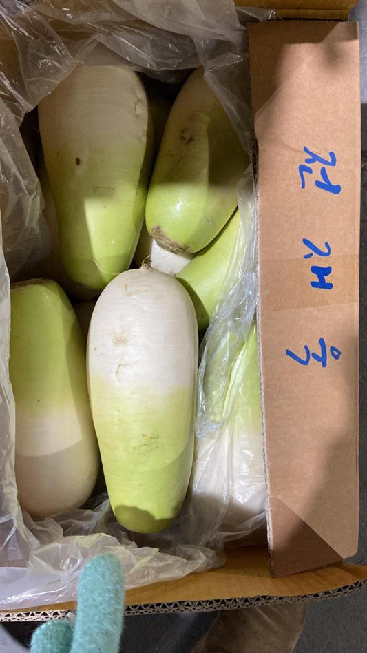 Korean Radish韓國羅白 100g x 1