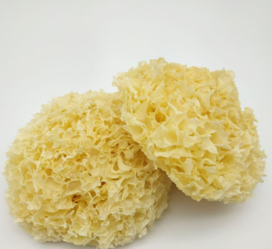 雪耳南雪 200g x1