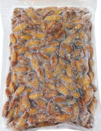 16967 Frozen Silkworm Cocoon Con Nhong 500gr x 20