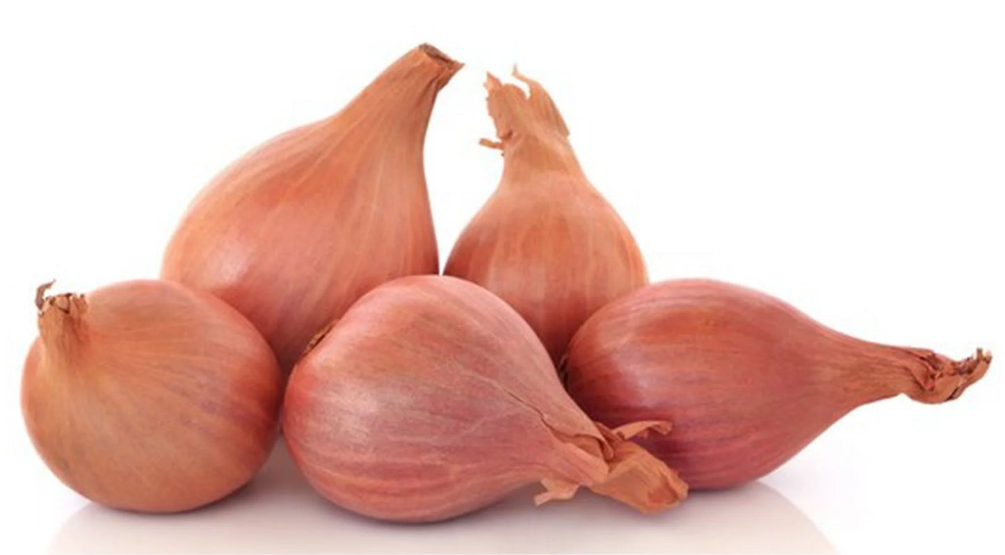 Dried Shallot Onion (100g)