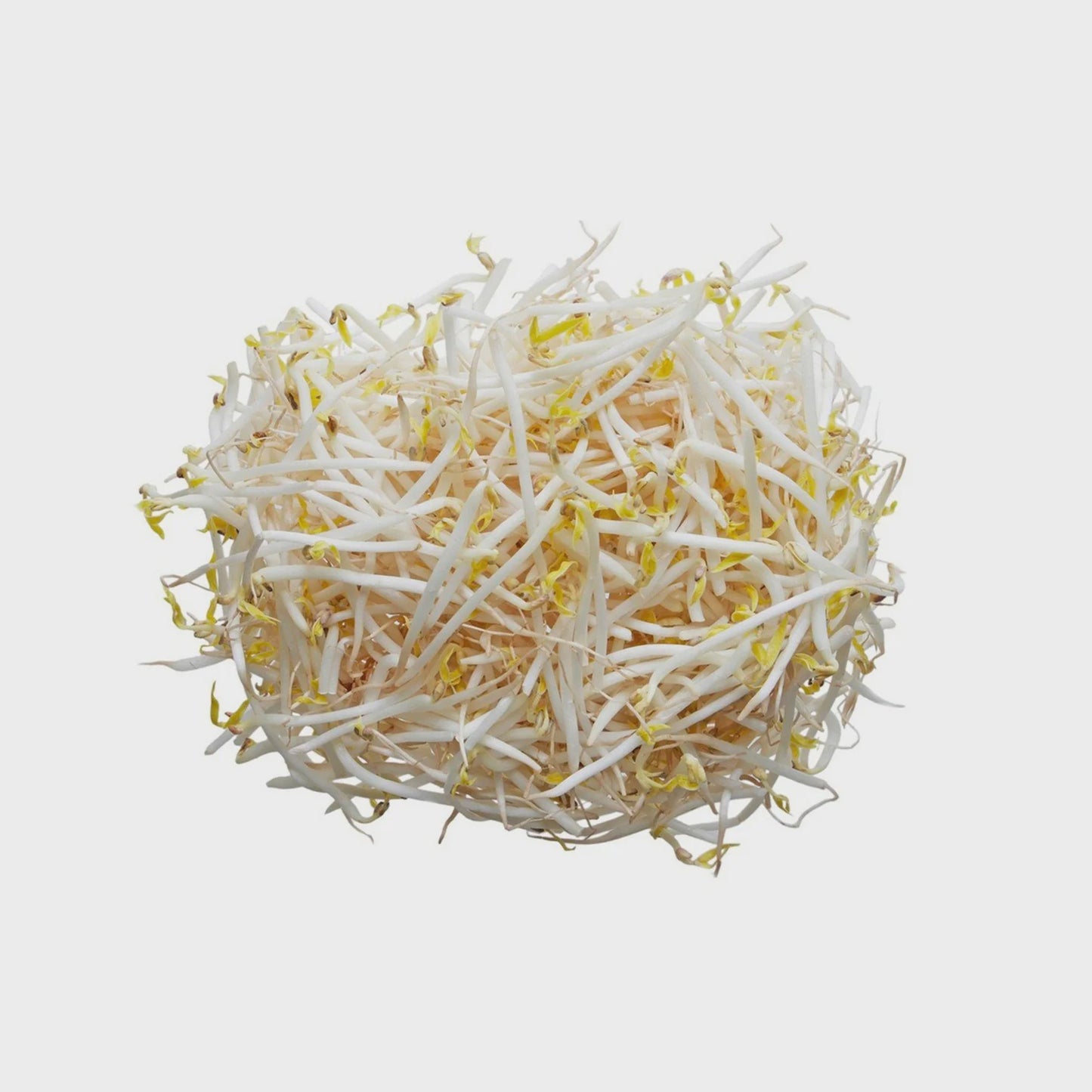 Bean sprout芽菜 ( gia do ) 4kg x 1