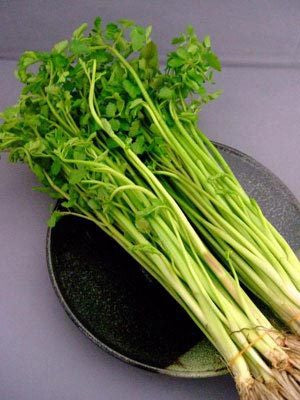 Can Nuoc, Vietnamese Water Celery 200g x1