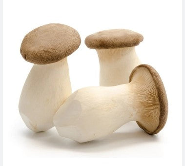 Fresh Loose King Oyster Mushroom Eryngii杏鮑菇Nam Dui Ga 10g