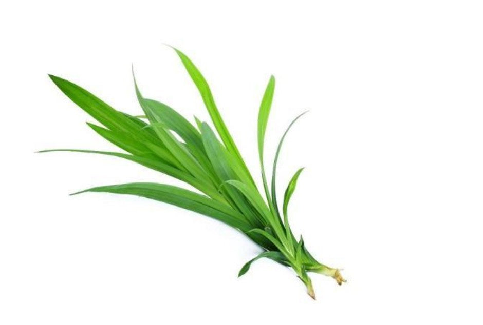 Lá Dứa Tươi Lá Dứa Tươi 1 gói x 1